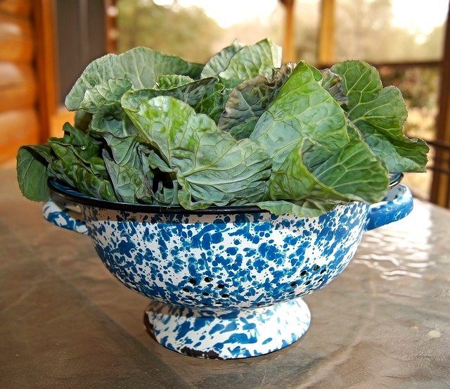Collard Greens for thanksgiving and Christmas