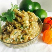 melongene chutney-Chutney Cookbook, 10 chutney recipes, simple chutneys